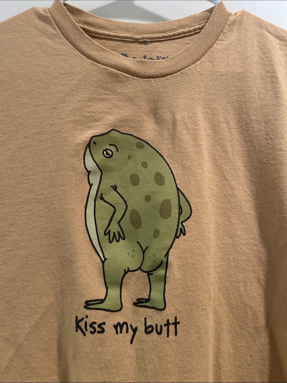 Spencer’s Kiss My Butt Frog Pets Reptile Graphic Tee short sleeve unisex size M